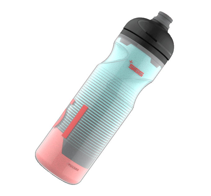 Sigg Pulsar Therm (0.65L) Insulated Water Bottle