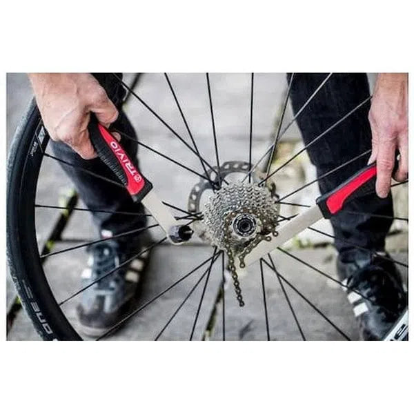 Trivio Cassette Customer Campagnolo