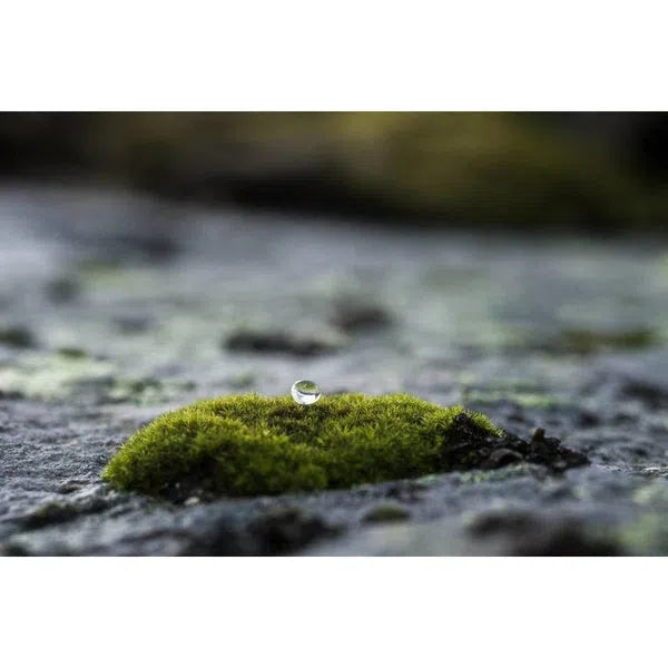 Maurten Drink Mix 320 Box (14 sachets)