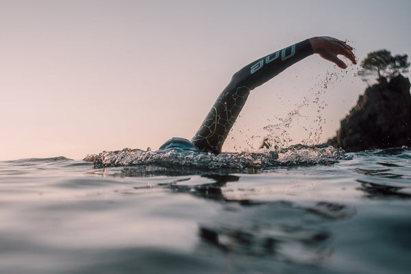 Pesce vela one 8 uomini di muta